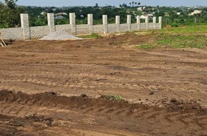 Yeida Plot