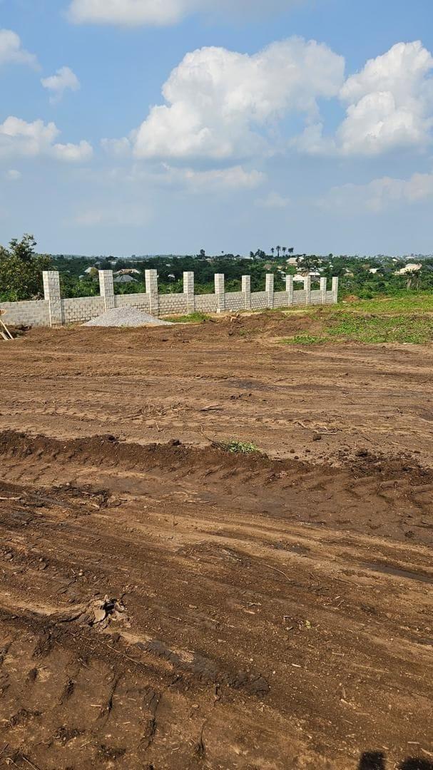Yeida Plot