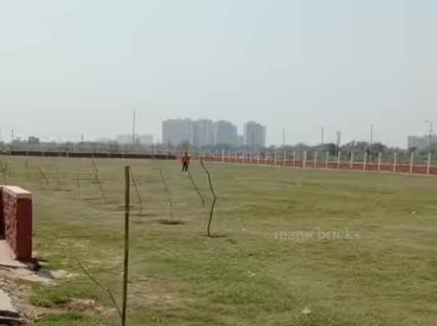 Yeida Plot